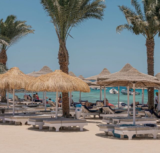 1-near-marina-promenade-hurghada-mamma-mia-beach-palm-trees